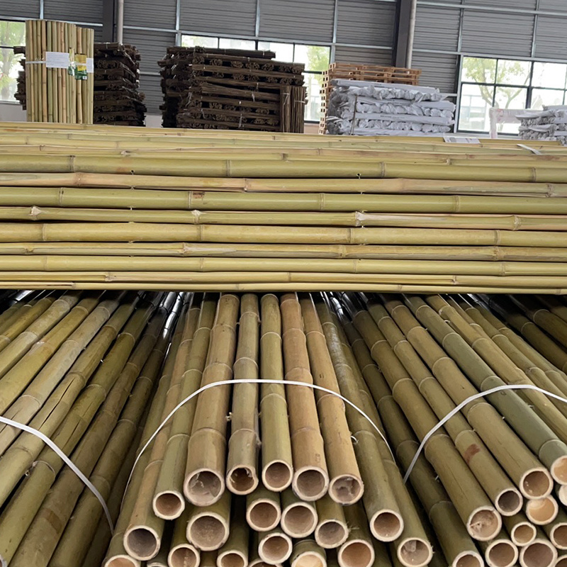 Cheap outdoor natural eco-friendly dry long construction large bamboo poles for building