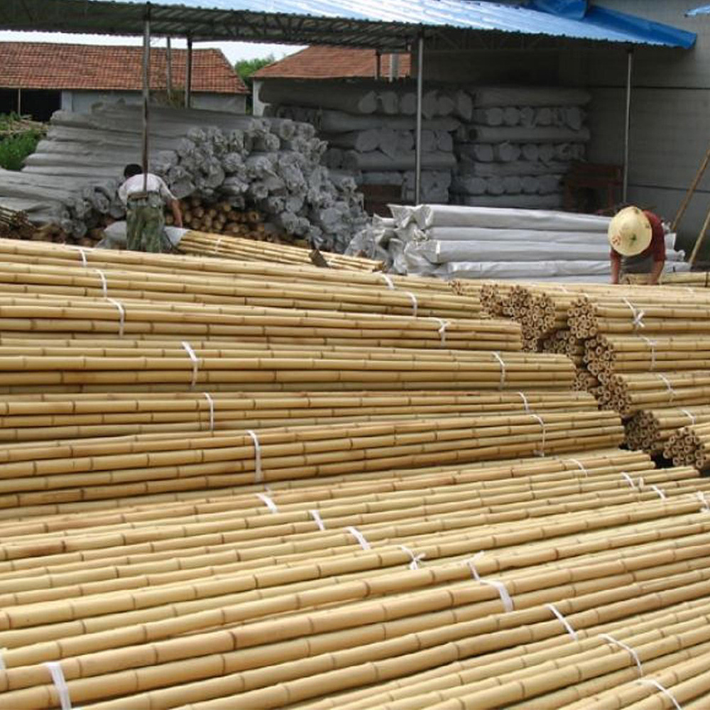 Bamboo manufacturer eco-friendly garden treatment natural bamboo picket pole