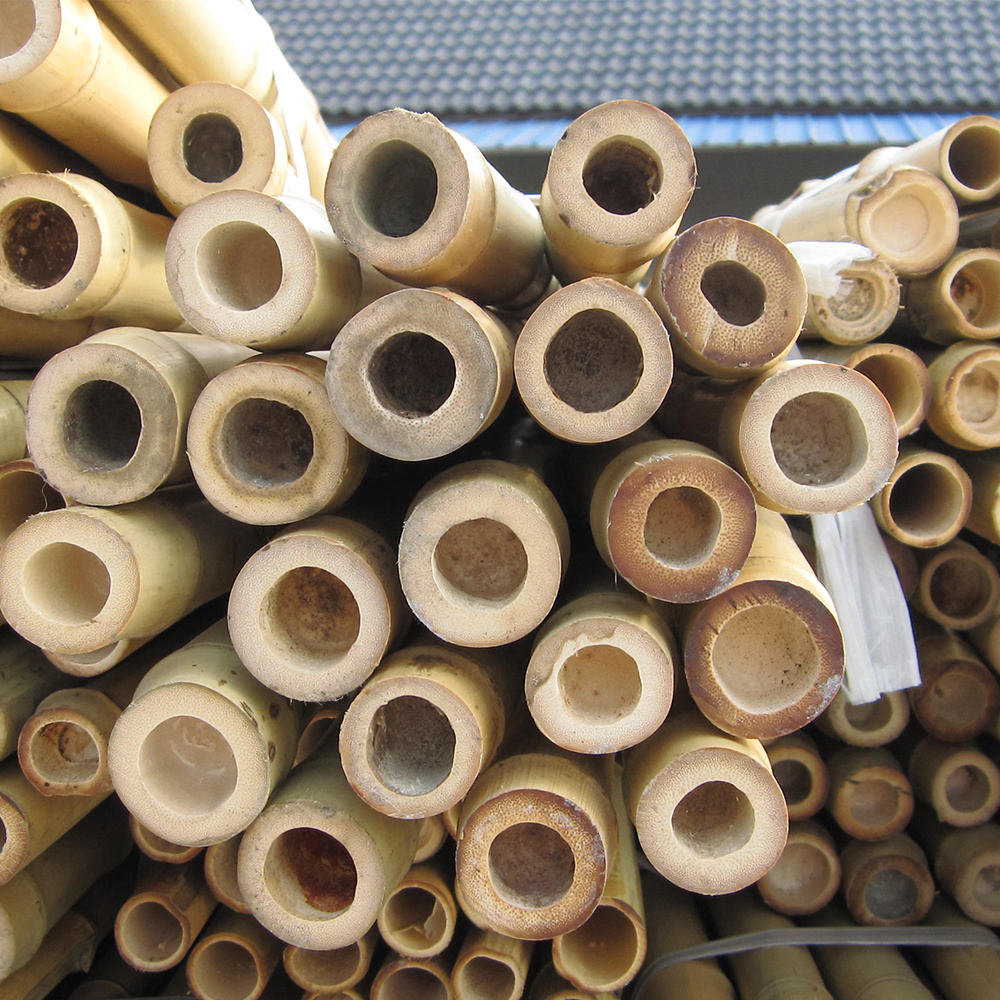 Bamboo manufacturer eco-friendly garden treatment natural bamboo picket pole