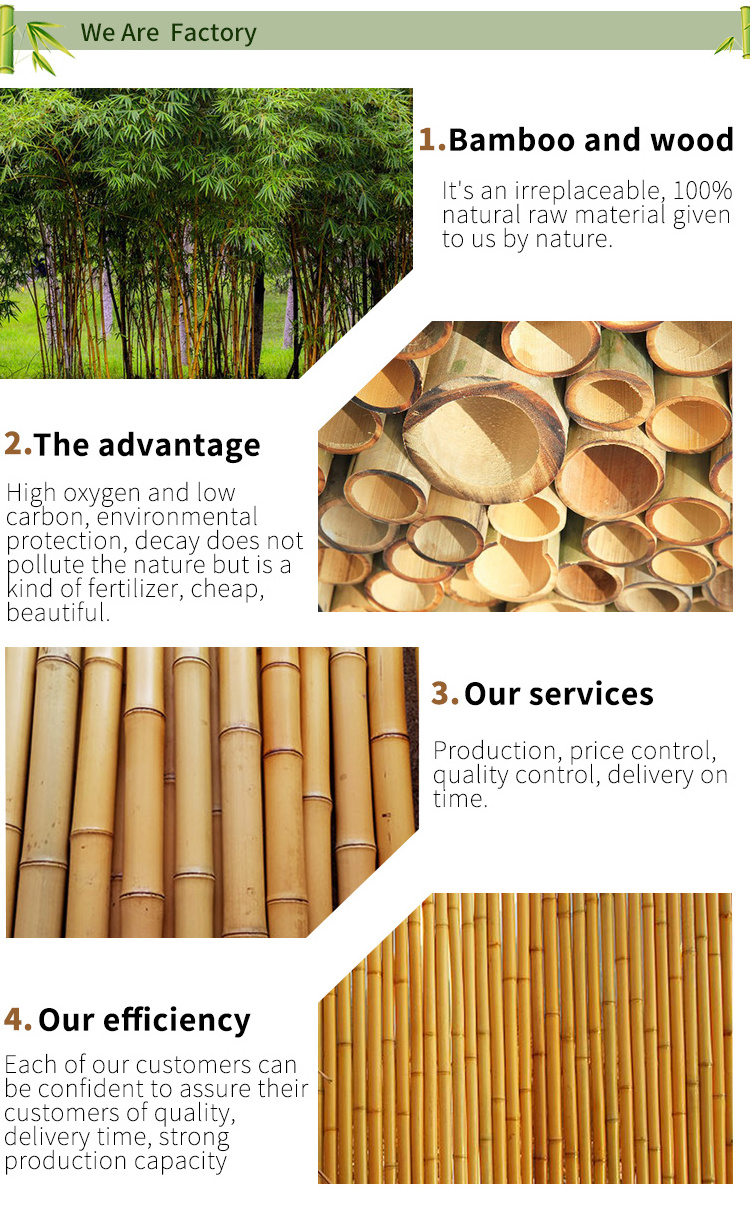 Bamboo manufacturer eco-friendly garden treatment natural bamboo picket pole