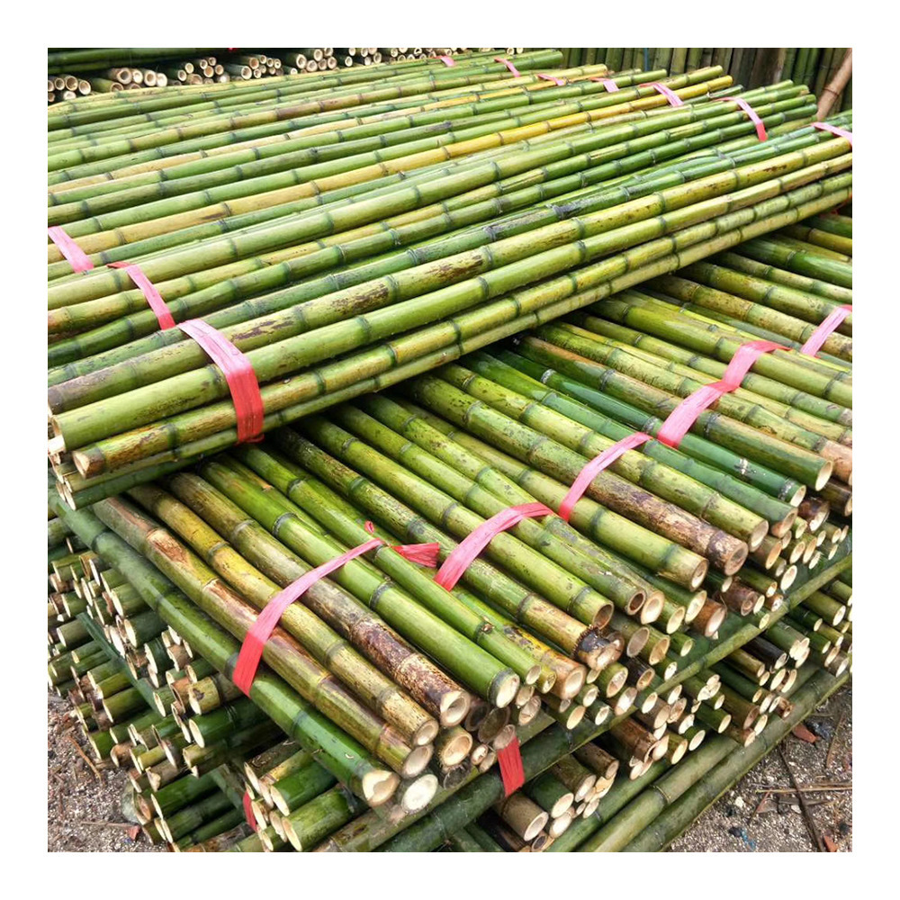 Wholesale tonkin decoration artificial support tree and plant small strong bamboo poles for garden