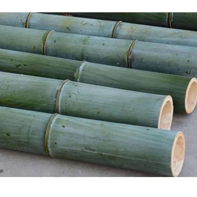 Multifunctional Diy Bamboo Tube Natural Furniture Making Material Raw Bamboo Pole