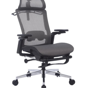 Mesh Modern Ergonomic Swivel Chair With Headrest and Back Coat Hanger