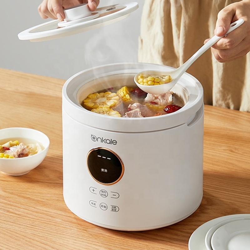 2024 new design ankale mini rice cooker/electric pot/Japanese/korea home appliances multifunction cooker 2L with ceramic pot