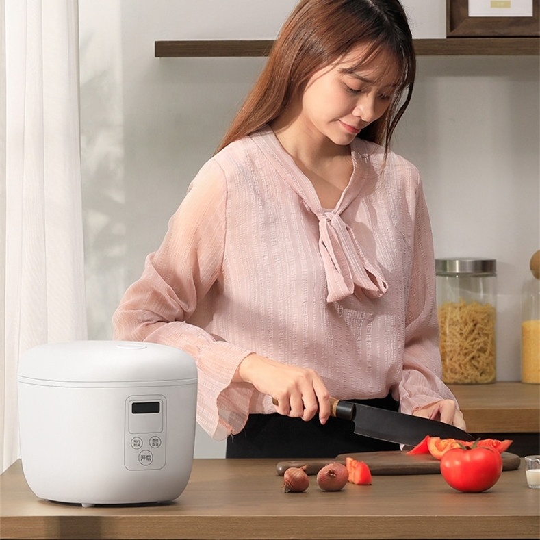 Smart home appliance portable electric rice cooker capacity 2.0L multi purpose cooking rice porridge soup