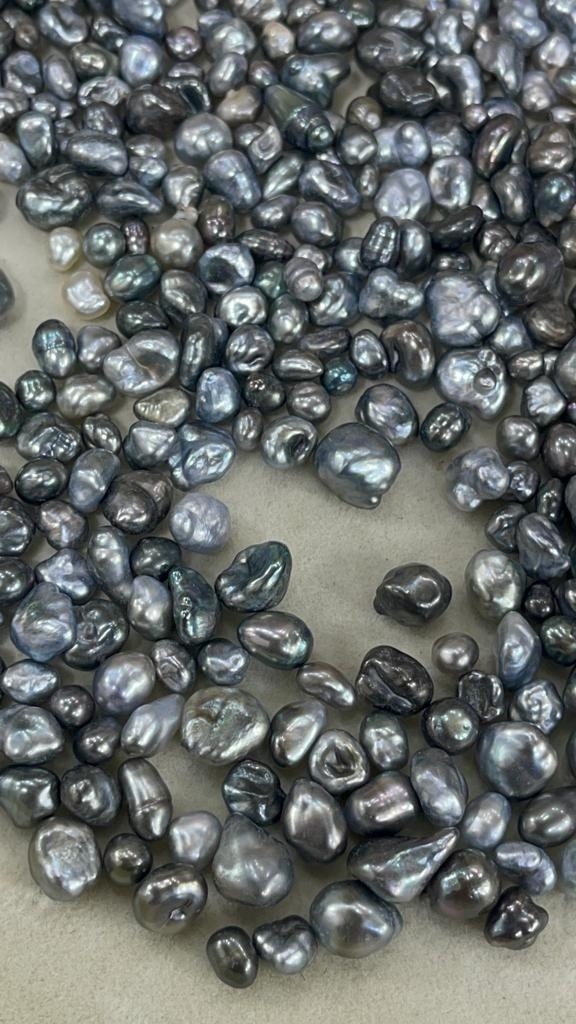 Natural Tahitian Sea Black Keshi Pearls Uneven Shape Natural Free From Undrilled Loose Pearls Bulk Product