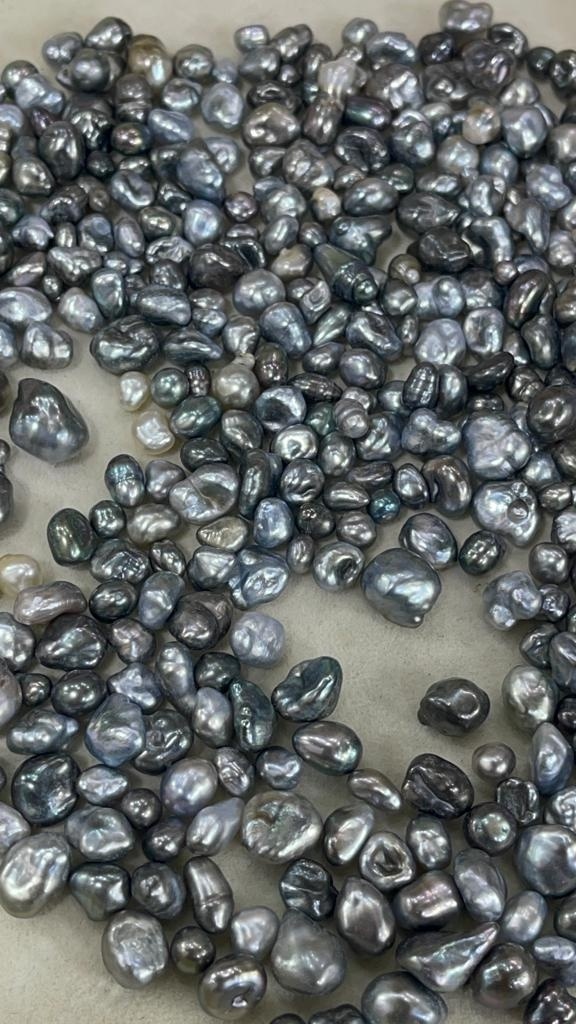 Natural Tahitian Sea Black Keshi Pearls Uneven Shape Natural Free From Undrilled Loose Pearls Bulk Product