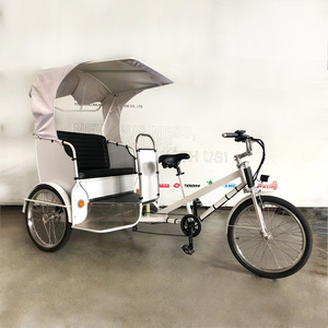 Ester 2 seater Electric Taxi Rickshaw Tuk Tuk Rickshaw