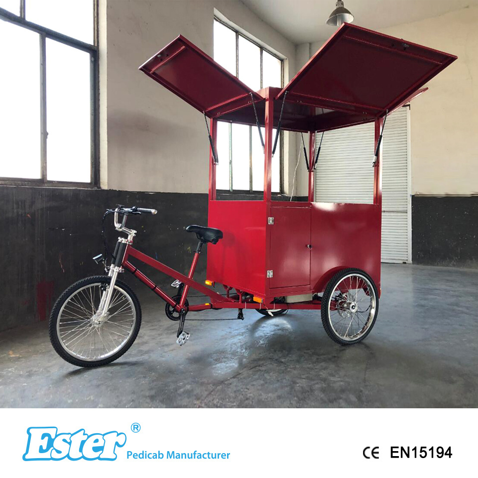 ESTER 500W Rear Motor Electric Coffee Trike High Quality, cargo trike enclosed