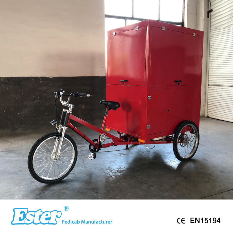 ESTER 500W Rear Motor Electric Coffee Trike High Quality, cargo trike enclosed