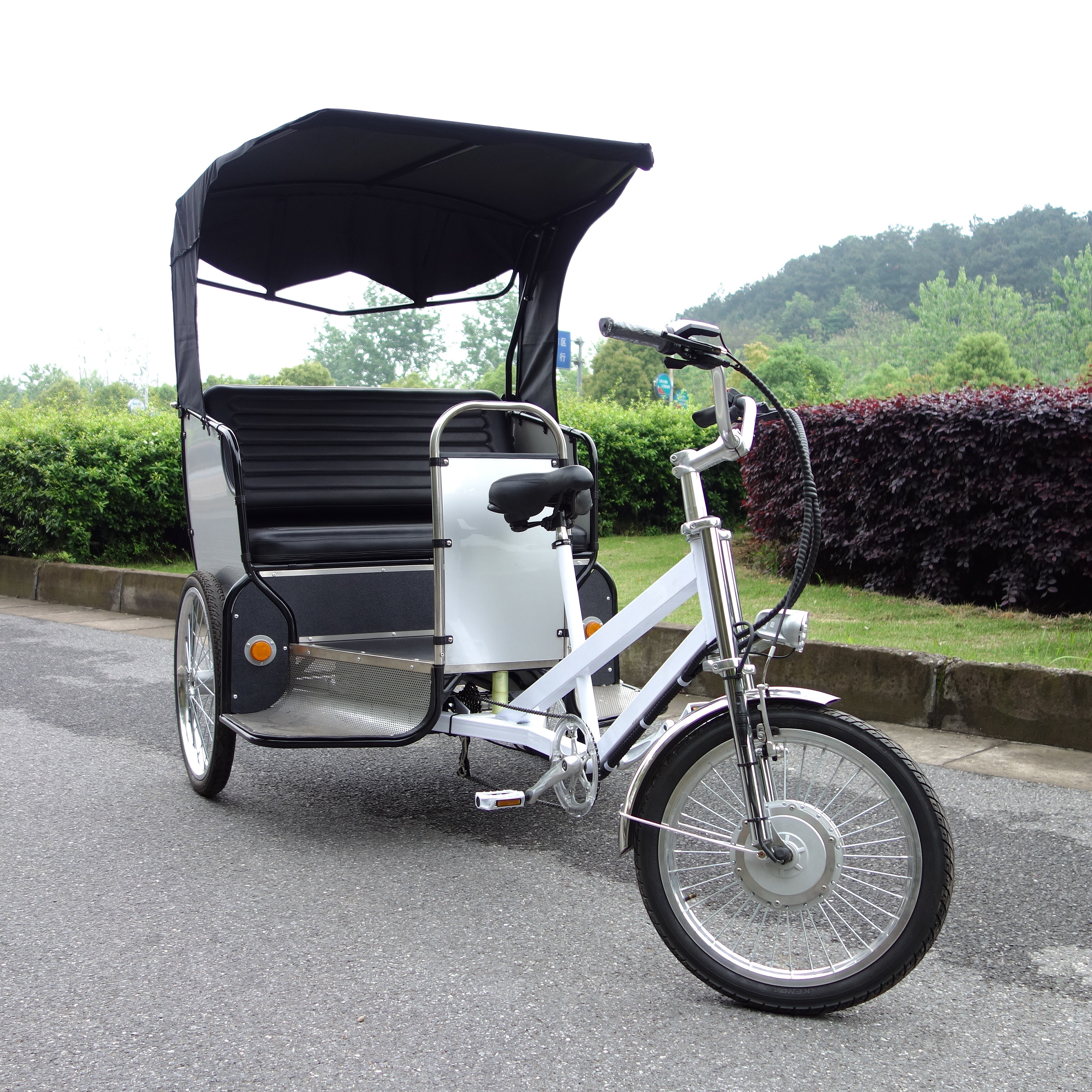 Ester Electric Pedicab Rickshaw Electric pedicab Bicycle Trailer