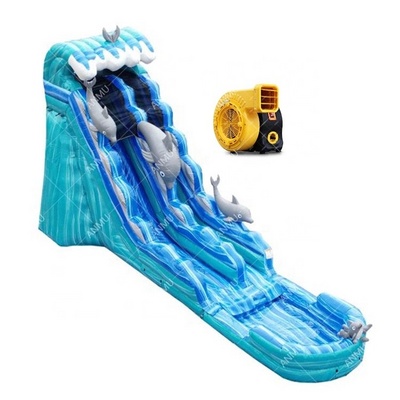 New Arrival Adults And Kids Inflatable Water Slide With Big Swimming Pool For Rental