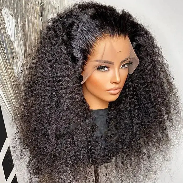 200 Density Hd Lace Wig Afro Kinky Curly Wig Afro Hair Wigs Transparent for Black Human Hair Mongolian Natural Lace Front Women