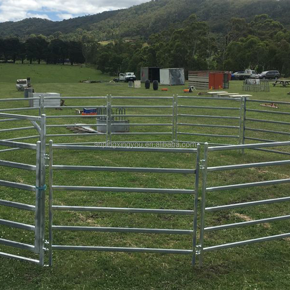 Cattle Panels Horse Fence paddock panel