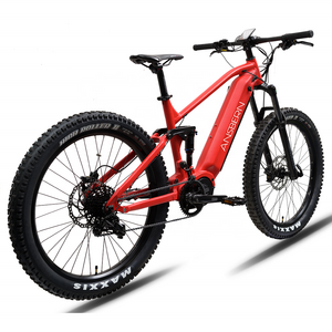 1000W Full Suspension Mountain Ebike/Emtb