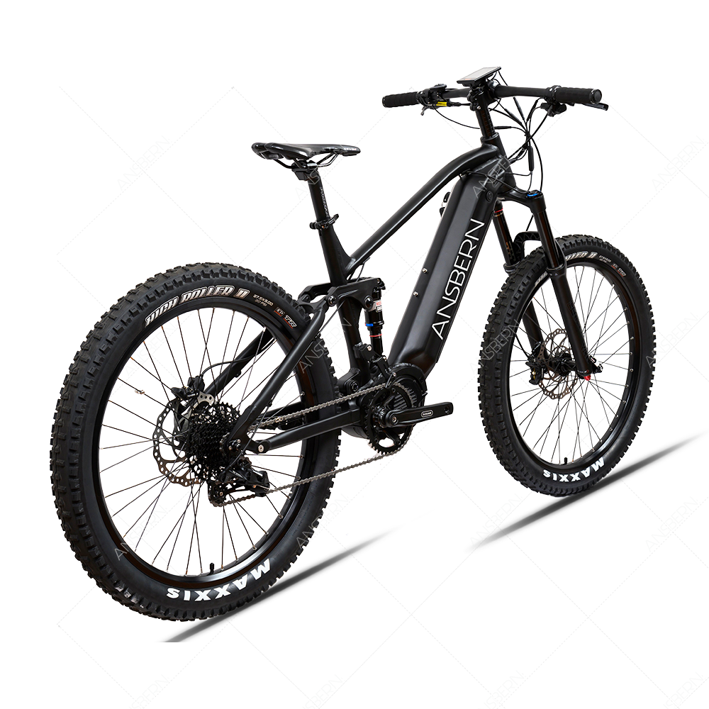 1000W Full Suspension Mountain Ebike/Emtb