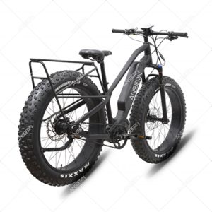 Made In China Mid Drive Bafang G510 1000W Nexus 5 Speed Electric Bike