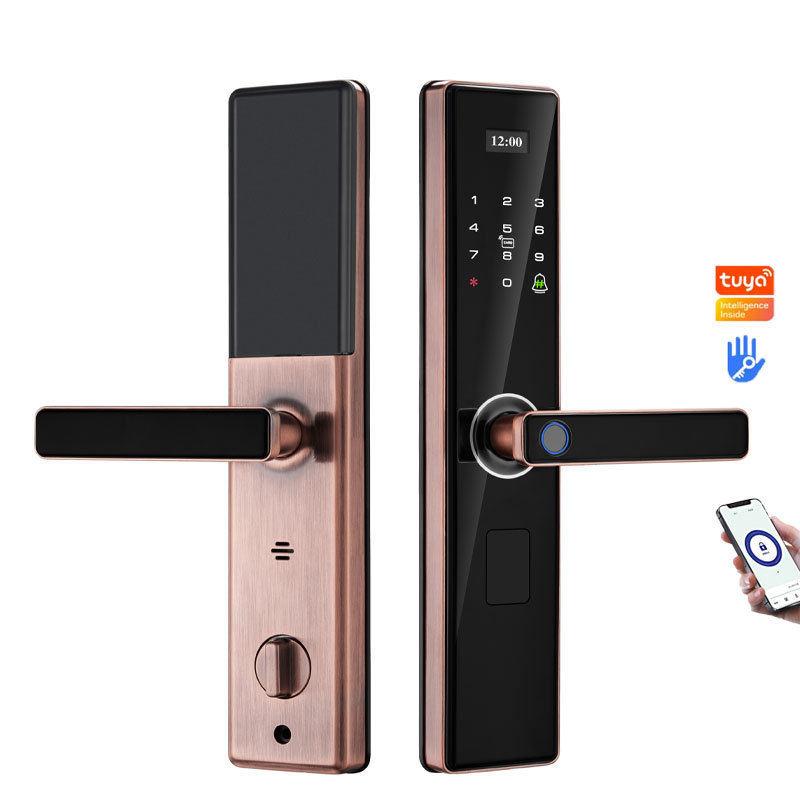 Doorhandle Locks Main Door Lock Set With Single Cylinder App Digital Smart Door Lock For Airbnb Apartment