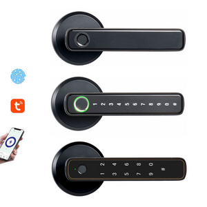 Digital Biometric Handle Fingerprint Glass Door Ttlock App Aluminum Smart Locks For Front Door Qr Code Smart Door Lock