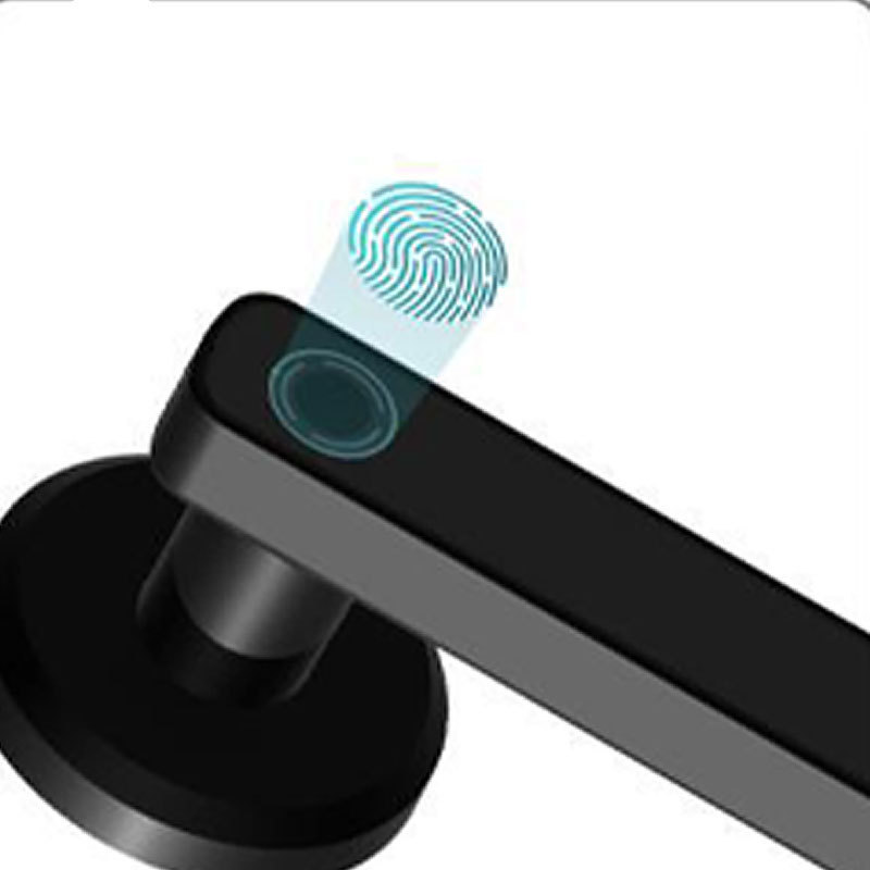 Interior Door Handle Fingerprint Smart Door Knob Cerraduras De Seguridad Inteligentes Para Puertas Digital Lock For Lockers