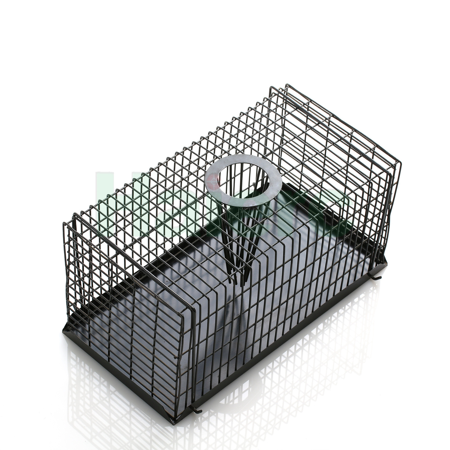 Haierc humane small rodent control mouse rat trap cage metal live catch cage