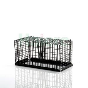 Haierc humane small rodent control mouse rat trap cage metal live catch cage