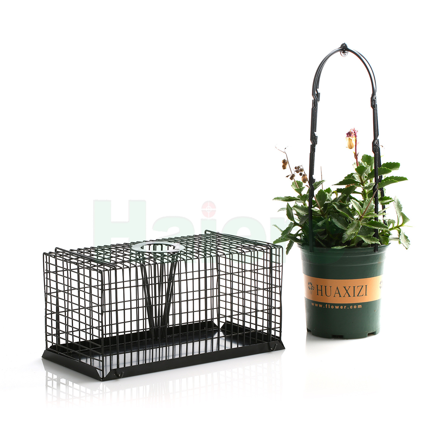 Haierc humane small rodent control mouse rat trap cage metal live catch cage