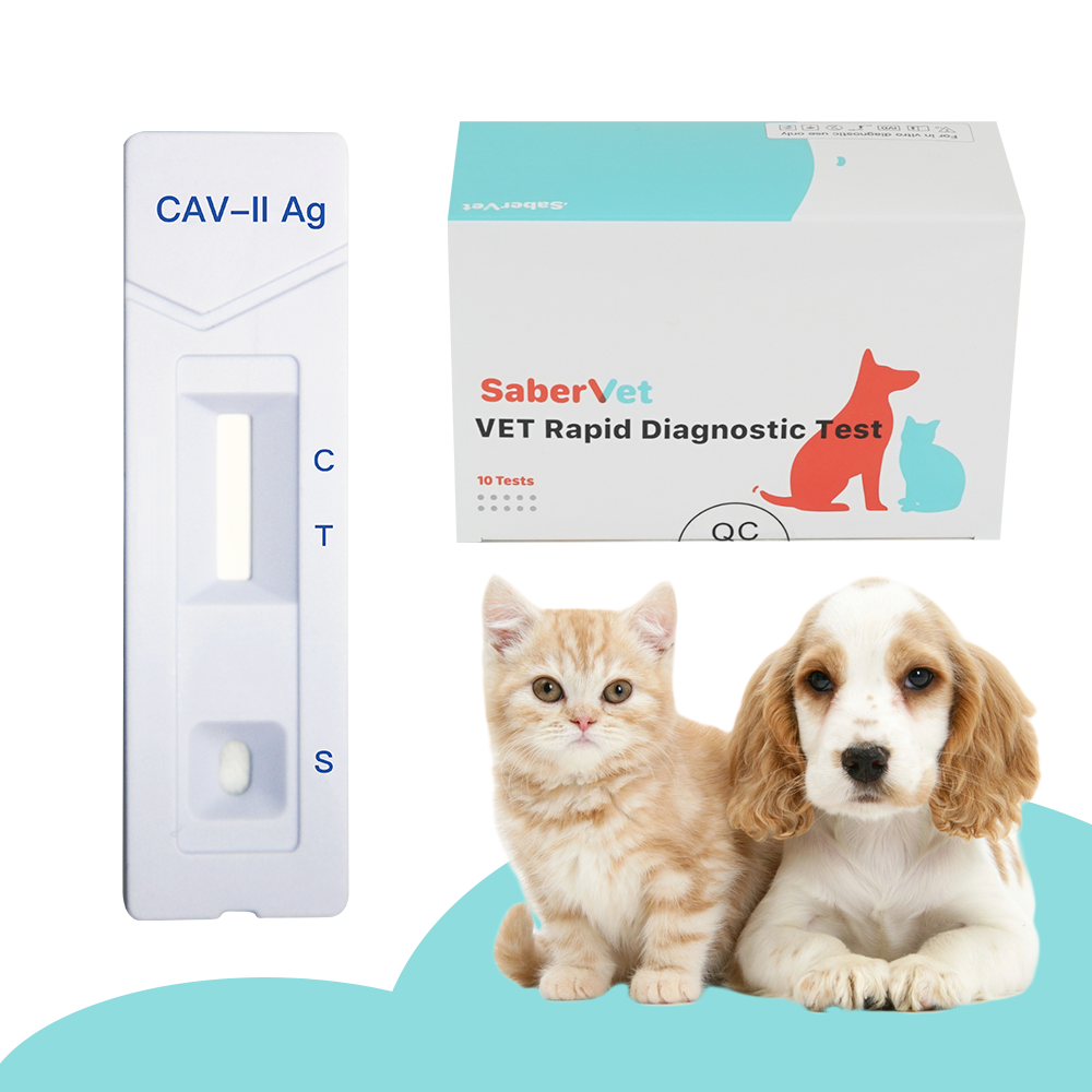 vet diagnostics testkit Veterinary Instrument pet Canine Adenovirus II Antigen Rapid Test CAV dog test