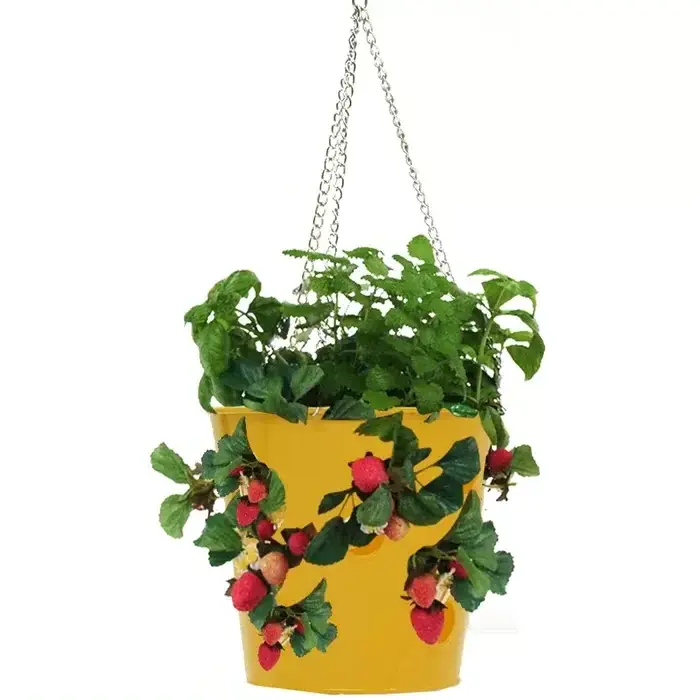 Hot Selling New Look Hanging Planter Umbrella Shaped Metal Iron Galvanized Finished Decorative Planter Hammered Design