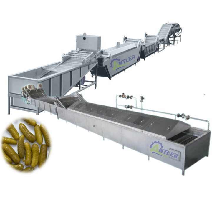 Complete pickled Gherkin cucumber processing line/canned cucumber processing machine