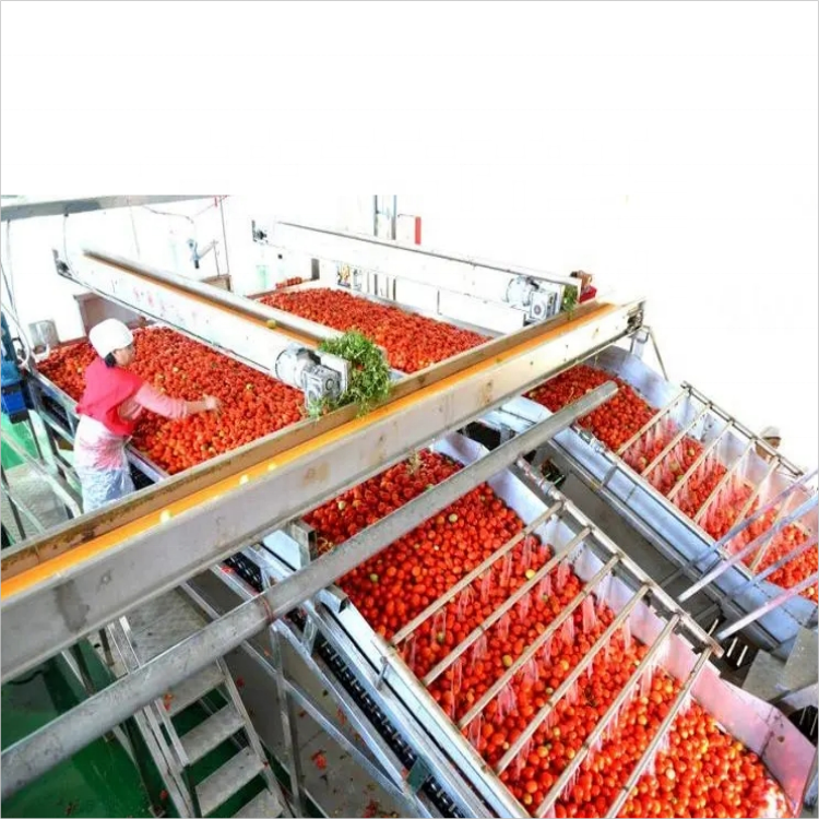 Tomato Sauce Machine Tomato Concentrate Production Line