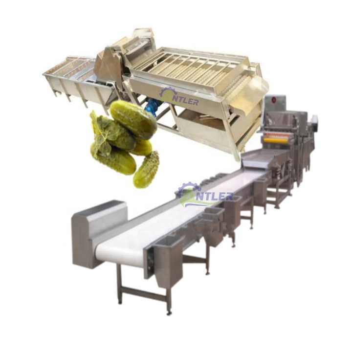 Complete pickled Gherkin cucumber processing line/canned cucumber processing machine