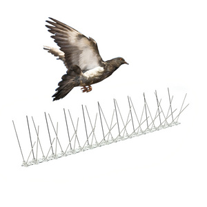 hot sale garden fence control pigeon bird repellent plastic baseplate stainless steel thorn anti plastic bird spikes