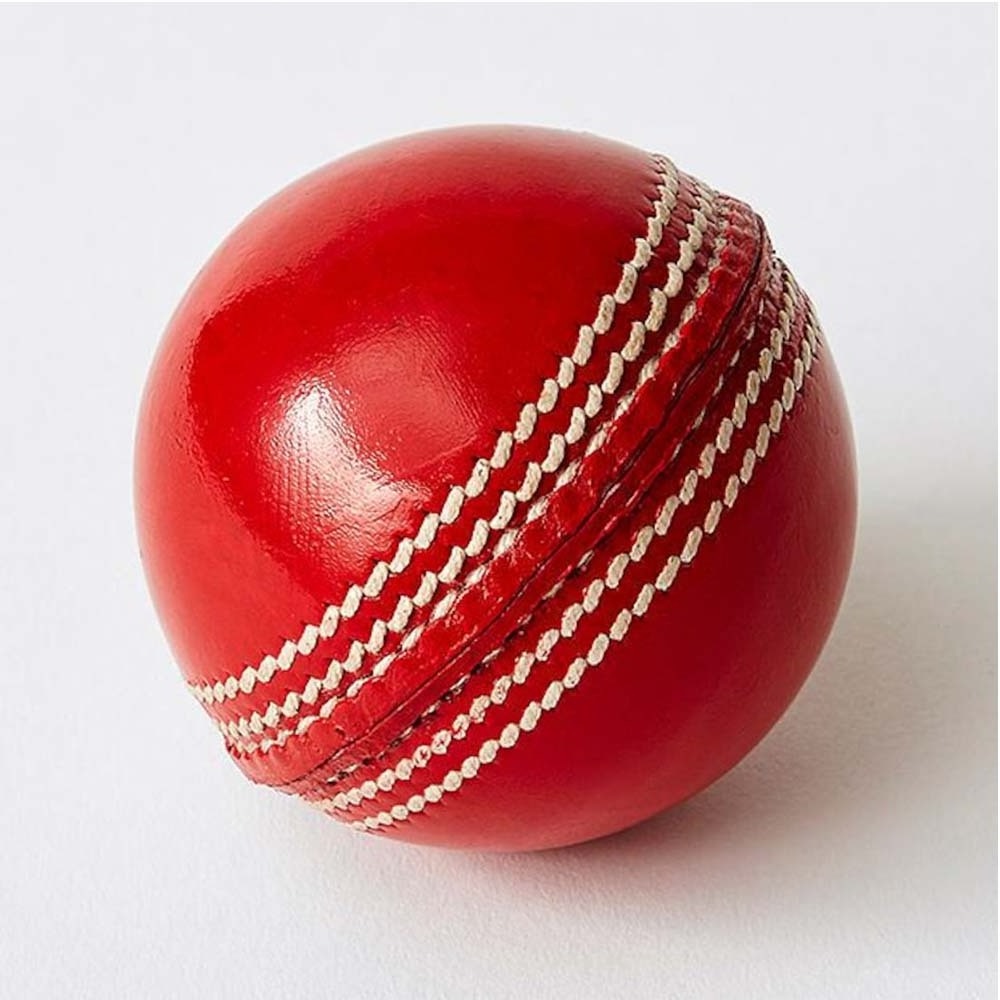 OEM Service Training Play Garden Cricket Hard Ball Custom Leather Match Ball For Adults Cricket Balls Made In Pakistan