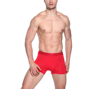 Top Seller Widely used superior quality popular men's underwear online shopping men's boxer