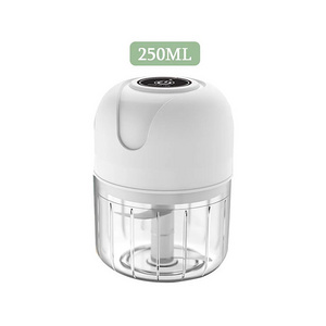 USB Charging Garlic Chopper 250ML Electric Garlic Tamper Vegetable Crusher Food Chopper