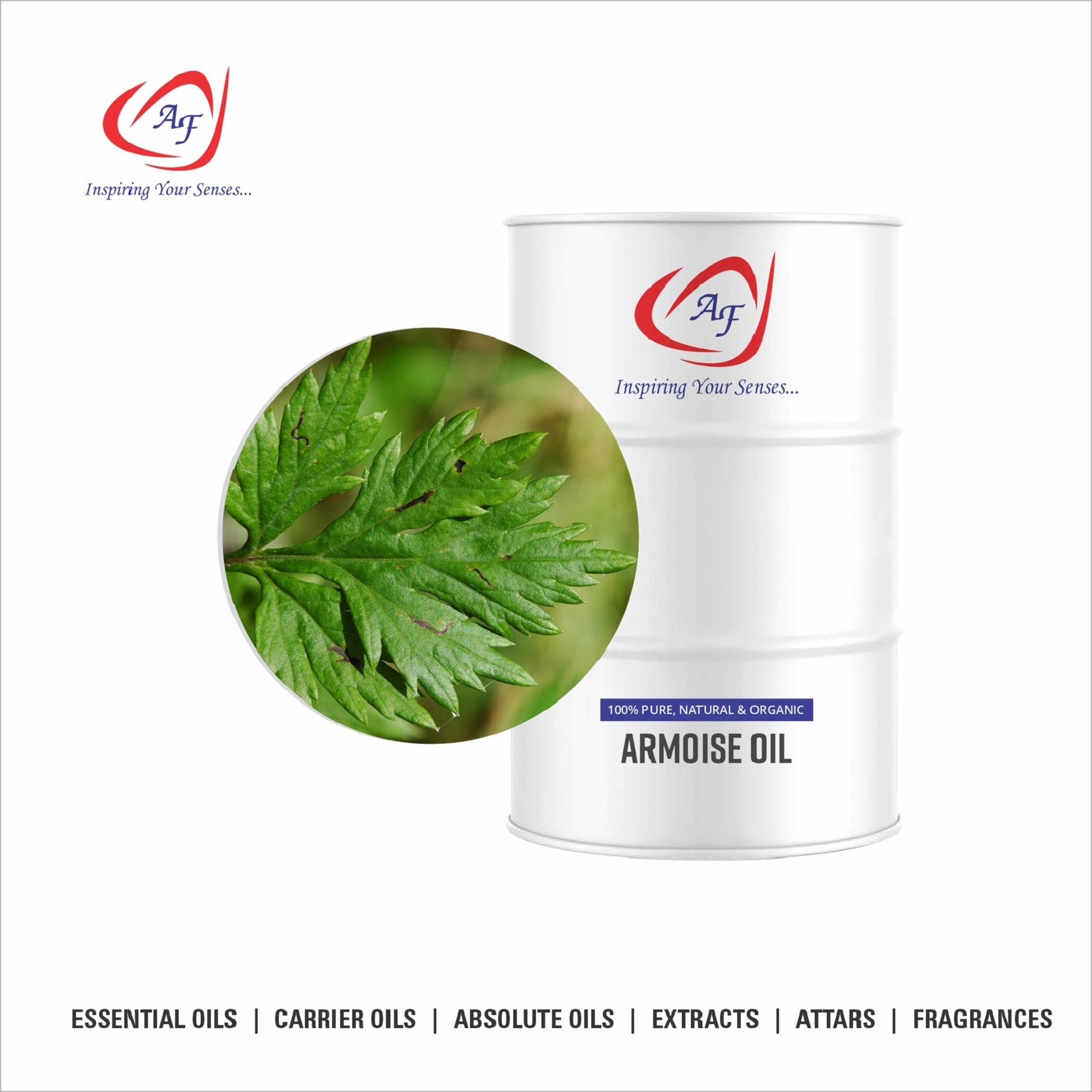 Hot Selling Product Armoise Mugwort Oil With Private Label Armoise Warmwood  Oils