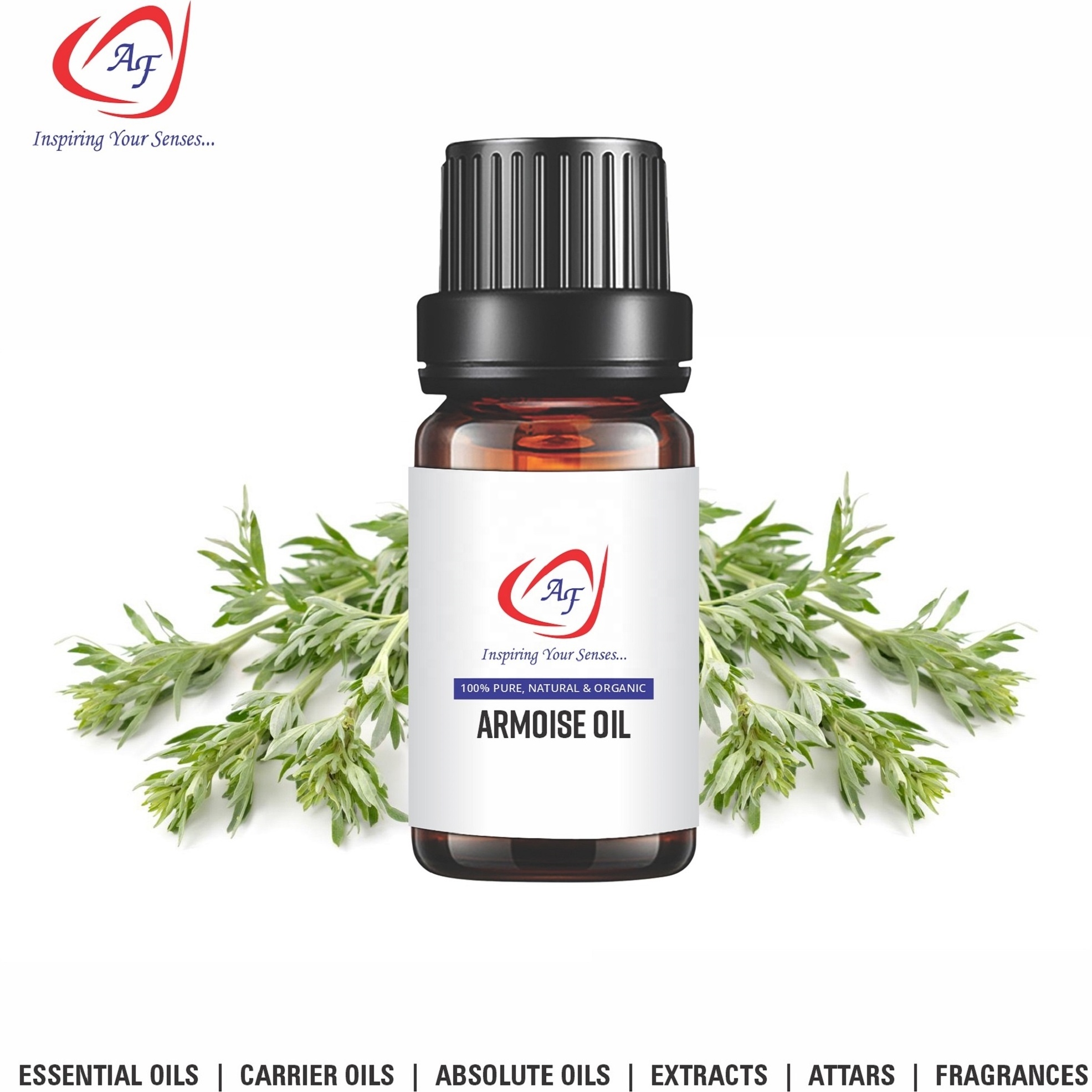 Hot Selling Product Armoise Mugwort Oil With Private Label Armoise Warmwood  Oils