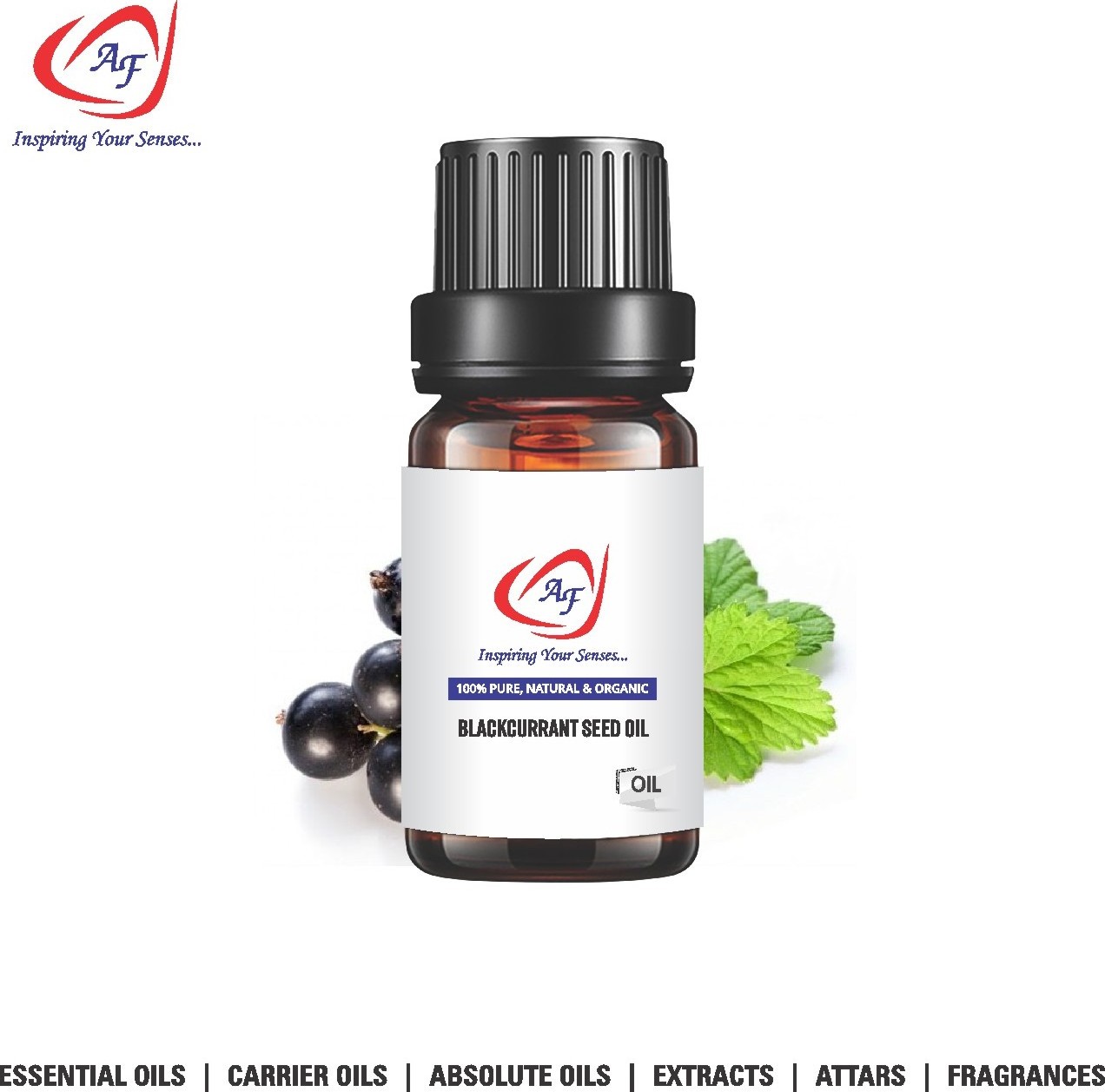 Organic Blackcurrant Seed Oil | Black Currant Oil - Pure and Natural Cold Pressed Carrier Oils - Wholesale Bulk Price