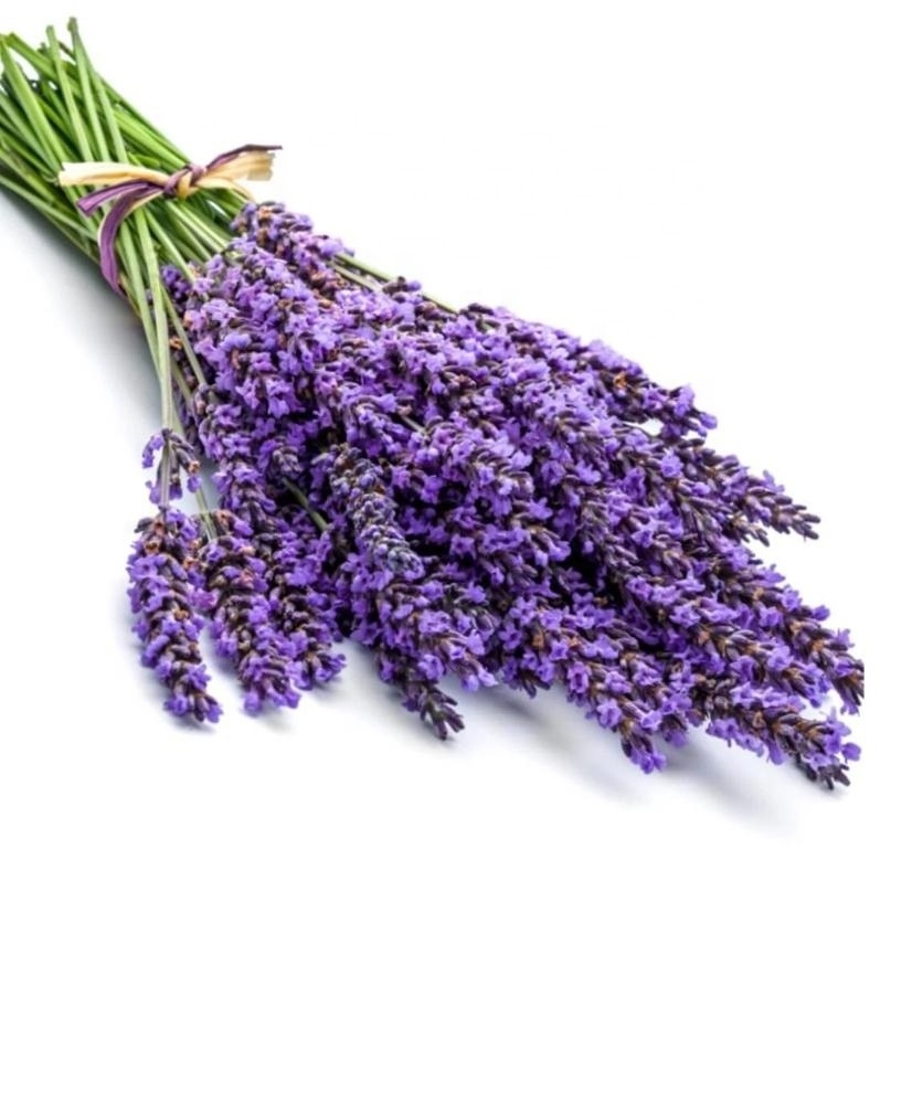 100% Pure and Organic Lavender Oil 40/42 Essential Oil At 20% Discount Price For Bulk Order Lavandula Angustifolia