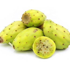 Wholesale Bulk Price 100% Pure Prickly Pear Seed Oil Natural and Organic Cold Pressed Carrier Oils Opuntia Ficus-Indica Food