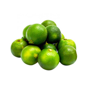 FROZEN CALAMANSI HALF FRUIT FROM VIETNAM IN FACTORY BULK QUALITY TO EXPORT / CALAMANSI CONGELADO MEDIA FRUTA DE VIETNAM