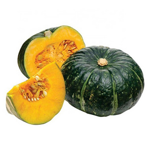 BEST PRICE FOR WHOLESALE FROZEN PUMPKIN WHOLE / CHUNK / PUREE ORIGIN VIETNAM / CALABAZA CONGELADA ENTERA