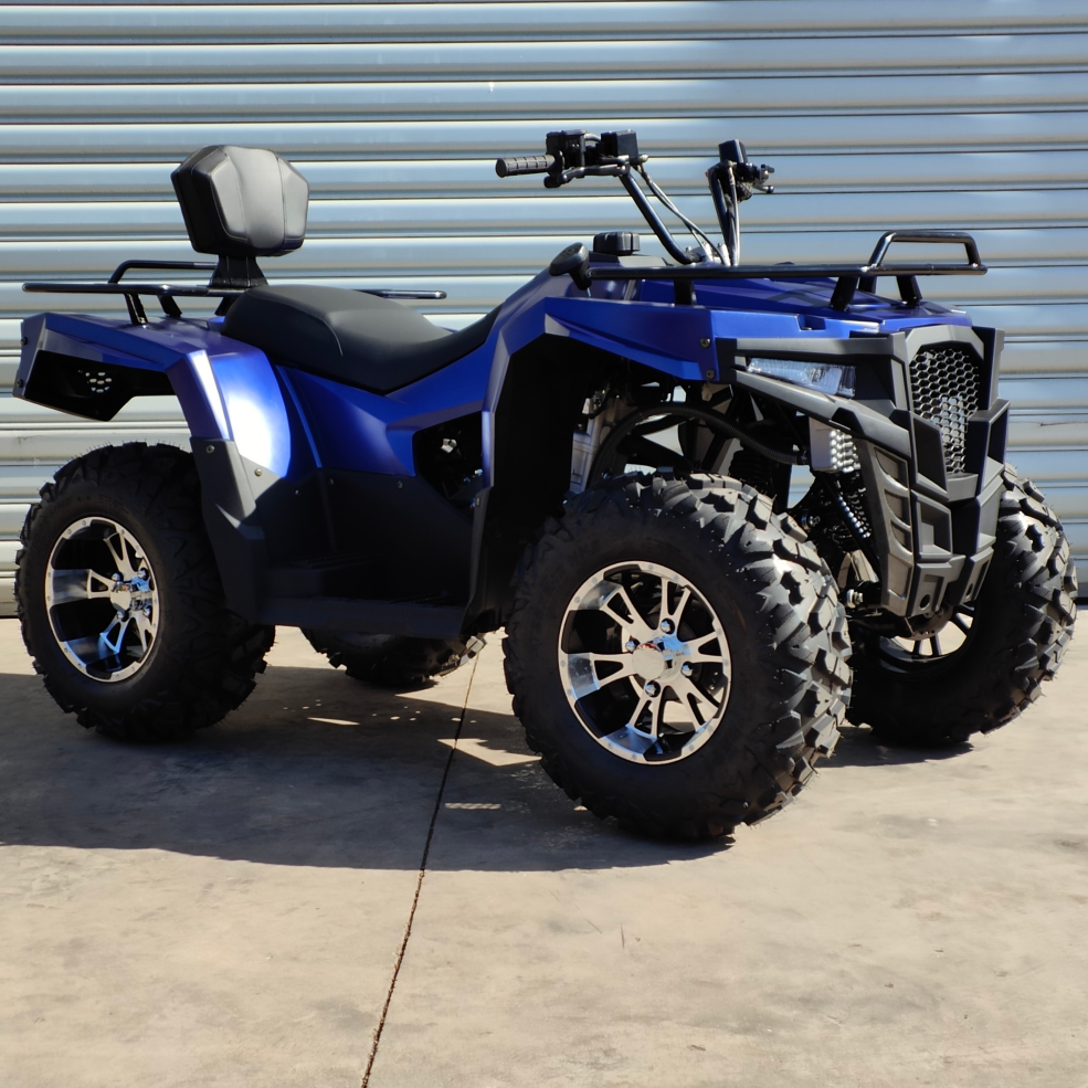 ANWA 125CC 300CC ATV Shaft Drive All-terrain ATV Snow Off-road Quad Bike Mountain Bike 250CC Water Cooled Engine