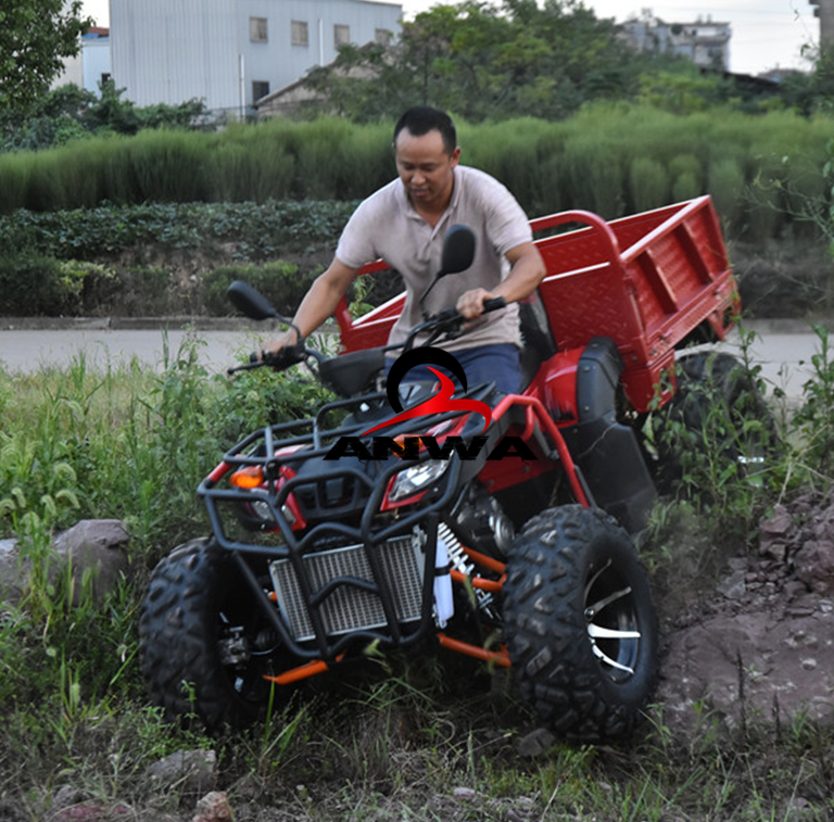 250cc 2WD/4WD ATV 4X4 Water Cooled 2 Seater CVT Four Wheel