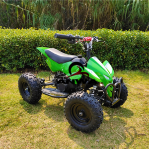 CE 4 wheeler buggy 2 stroke 49cc mini Quad buggy 49cc kids quad 49cc pink ATV quad