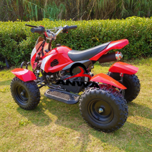 mini atv gas powered atv kids 50cc mini motor quad