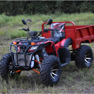 Wholesale atv 250cc 4 wheeler atv with reverse for adults china