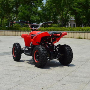 New mini electric ATV 1000W/800W/500W/350W 36V 24V for kids