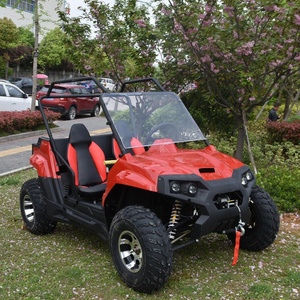 hot selling 150cc kid/teenager EEC UTV